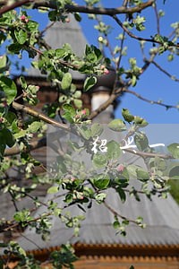 绍兴一般诉讼律师费多少钱 绍兴一般诉讼律师费多少钱