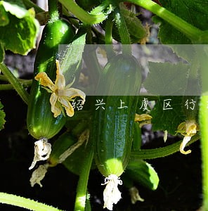 绍兴上虞区行政复议律师 绍兴上虞区行政复议律师