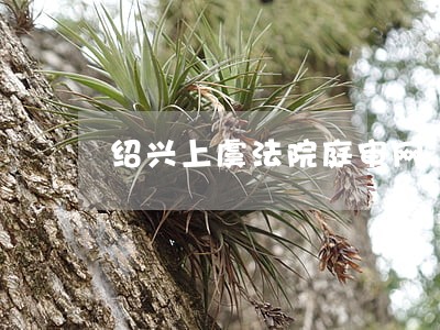 绍兴上虞法院庭审网 绍兴上虞法院庭审网