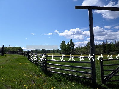 绍兴上虞股权代持律师哪个好 绍兴上虞股权代持律师哪个好