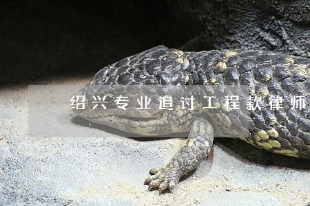 绍兴专业追讨工程款律师费 绍兴专业追讨工程款律师费