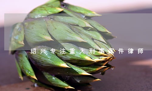 绍兴专注重大刑事案件律师 绍兴专注重大刑事案件律师