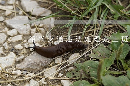 绍兴交通违法处理点上班时间 绍兴交通违法处理点上班时间