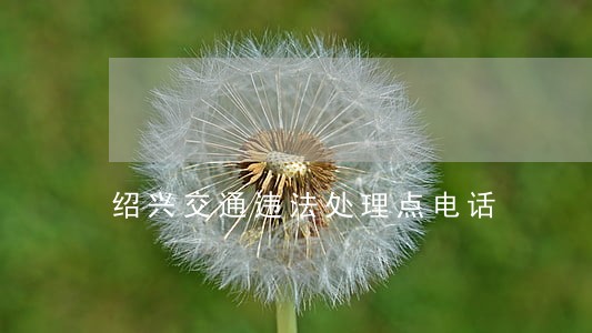绍兴交通违法处理点电话 绍兴交通违法处理点电话