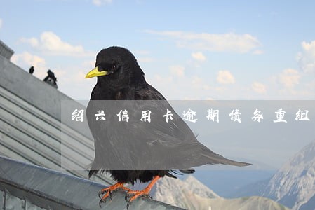 绍兴信用卡逾期债务重组怎么协商