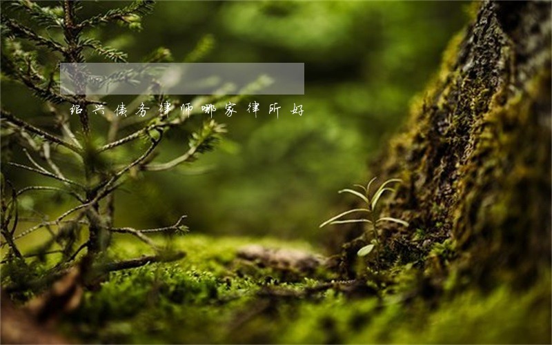绍兴债务律师哪家律所好 绍兴债务律师哪家律所好