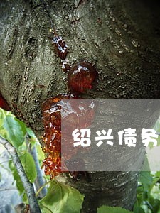 绍兴债务律师找哪家 绍兴债务律师找哪家
