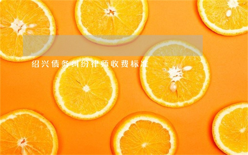 绍兴债务纠纷律师收费标准