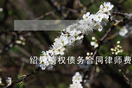 绍兴债权债务合同律师费 绍兴债权债务合同律师费
