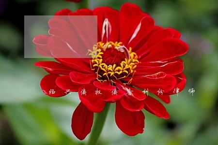 绍兴债权债务纠纷律师
