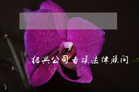 绍兴公司专项法律顾问 绍兴公司专项法律顾问