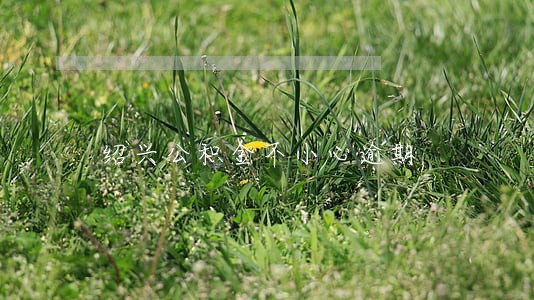 绍兴公积金不小心逾期