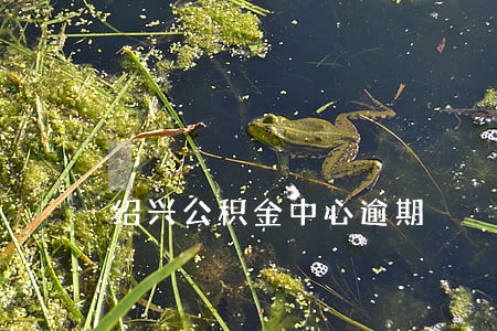 绍兴公积金中心逾期 绍兴公积金中心逾期