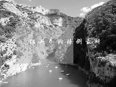 绍兴养狗条例最新 绍兴养狗条例最新