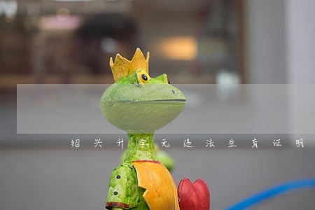 绍兴升学无违法生育证明范文 绍兴升学无违法生育证明范文