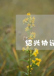 绍兴协议离婚价格 绍兴协议离婚价格