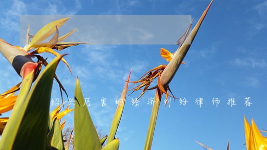 绍兴厉害的经济纠纷律师推荐 绍兴厉害的经济纠纷律师推荐