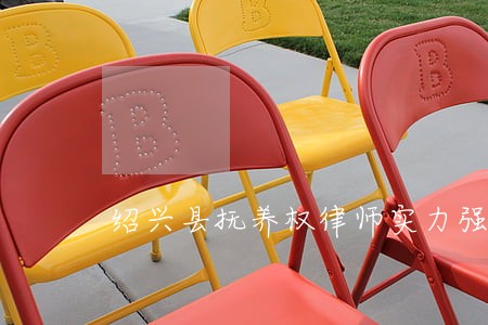 绍兴县抚养权律师实力强的团队 绍兴县抚养权律师实力强的团队