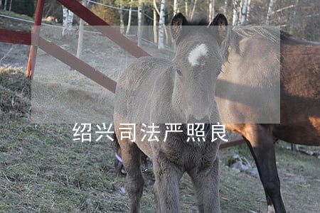 绍兴司法严照良