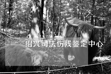 绍兴司法伤残鉴定中心