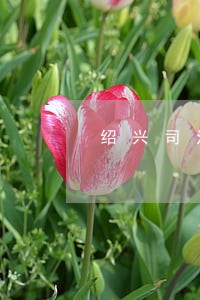 绍兴司法局法律援助中心 绍兴司法局法律援助中心