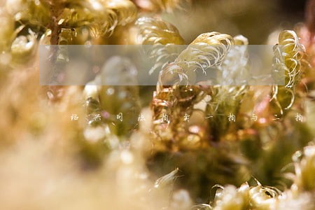绍兴司法拍卖一拍与二拍间隔 绍兴司法拍卖一拍与二拍间隔