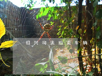 绍兴司法拍卖车辆 绍兴司法拍卖车辆