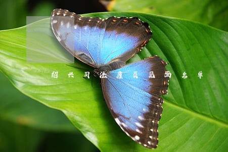 绍兴司法雇员见面名单 绍兴司法雇员见面名单