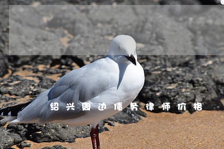 绍兴周边债务律师价格 绍兴周边债务律师价格