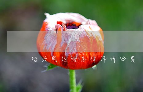 绍兴周边债务律师诉讼费 绍兴周边债务律师诉讼费