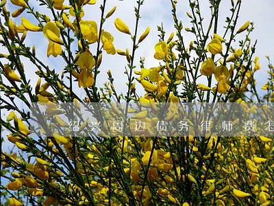 绍兴周边债务律师费怎么算 绍兴周边债务律师费怎么算