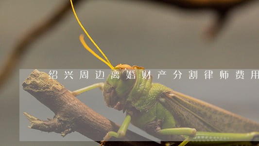 绍兴周边离婚财产分割律师费用 绍兴周边离婚财产分割律师费用