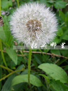 绍兴哪里有免费法律咨询 绍兴哪里有免费法律咨询