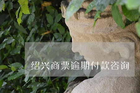 绍兴商票逾期付款咨询