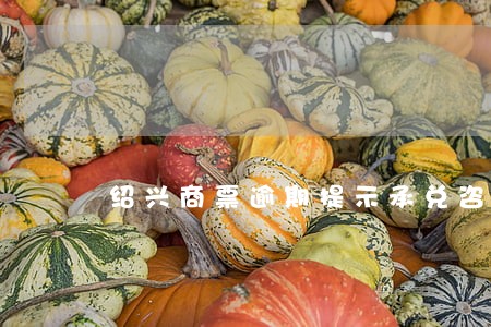 绍兴商票逾期提示承兑咨询 绍兴商票逾期提示承兑咨询