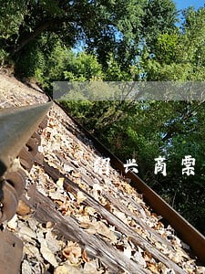 绍兴商票逾期提示承兑案例 绍兴商票逾期提示承兑案例