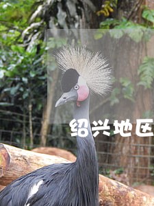 绍兴地区专业无罪辩护律师有哪些 绍兴地区专业无罪辩护律师有哪些