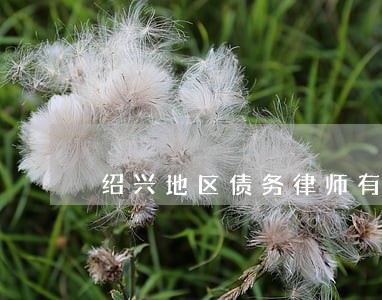 绍兴地区债务律师有哪些 绍兴地区债务律师有哪些