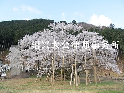 绍兴大公律师事务所 绍兴大公律师事务所