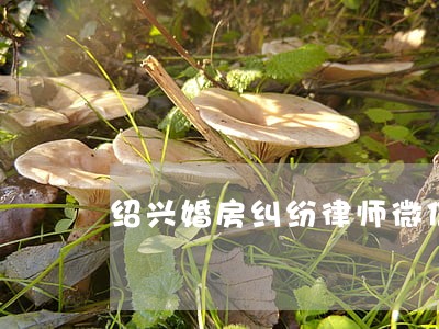 绍兴婚房纠纷律师微信咨询 绍兴婚房纠纷律师微信咨询