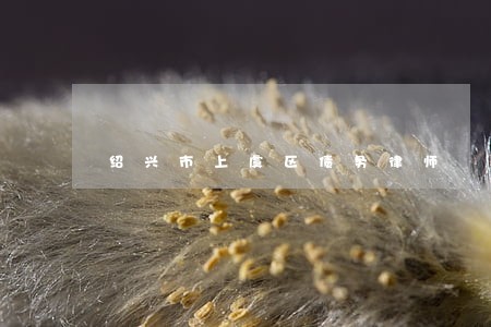 绍兴市上虞区债务律师 绍兴市上虞区债务律师