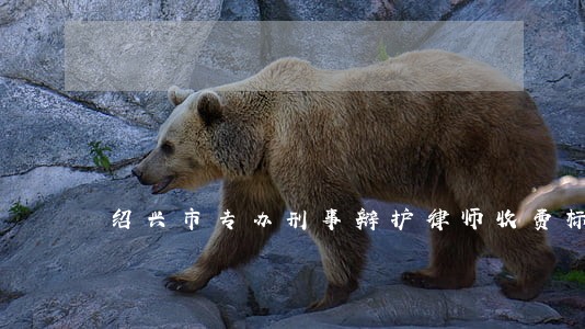 绍兴市专办刑事辩护律师收费标准 绍兴市专办刑事辩护律师收费标准