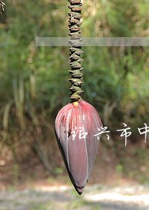绍兴市中院行政诉讼异地管辖