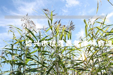 绍兴市优秀青年律师有谁 绍兴市优秀青年律师有谁
