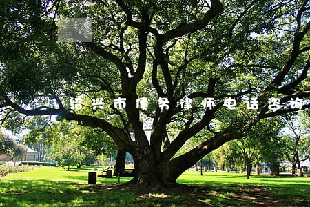 绍兴市债务律师电话咨询 绍兴市债务律师电话咨询