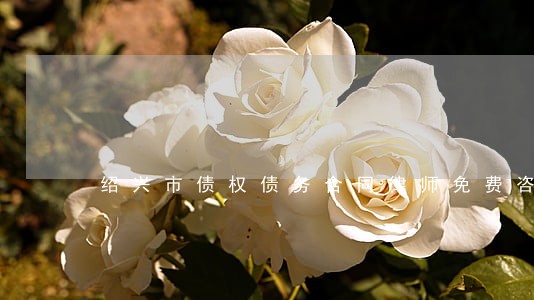 绍兴市债权债务合同律师免费咨询 绍兴市债权债务合同律师免费咨询