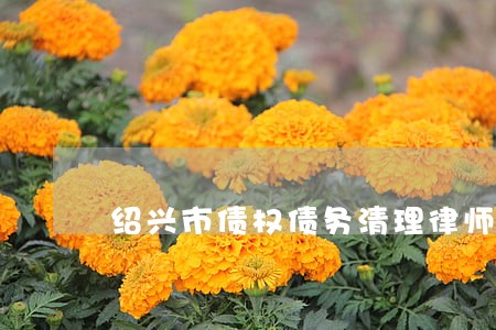 绍兴市债权债务清理律师网 绍兴市债权债务清理律师网