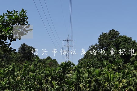 绍兴市协议离婚收费标准 绍兴市协议离婚收费标准