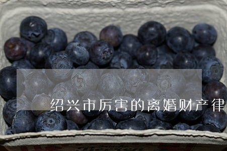 绍兴市厉害的离婚财产律师 绍兴市厉害的离婚财产律师
