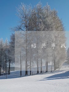 绍兴市找离婚财产律师 绍兴市找离婚财产律师